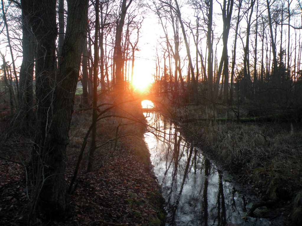 Sonnenuntergang im Borsteler Forst auf der Singlewanderland-Wanderung zum Grünkohlessen im Wirtshaus Oering