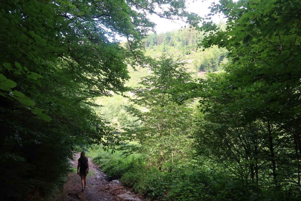 Durch die Wälder der Ardennen auf dem Weg zur Ourthe
